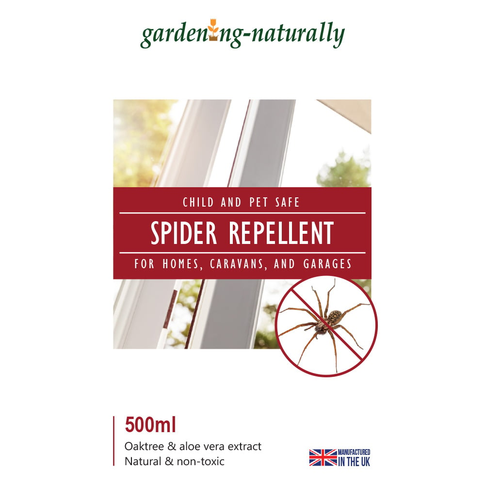 Spider Repellent Stop Spiders Coming into your House