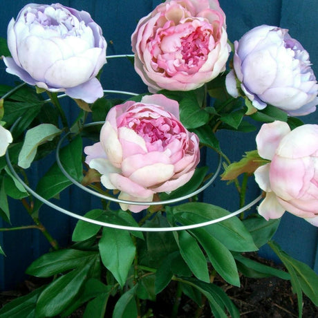A spiral plant support structure with multiple layers, containing and supporting pink and white peony flowers and green leaves.