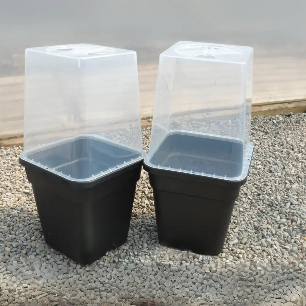 QuadGrow and Cloche Set