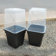 square cloche covers for quad grow