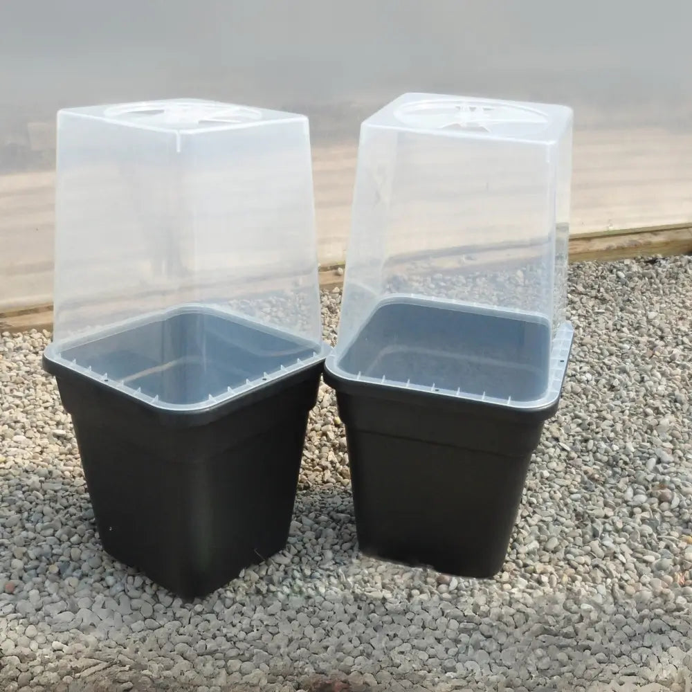 square cloche covers for quad grow