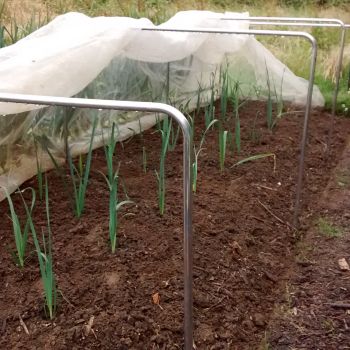 Square Aluminium Hoops For Garden Netting Tunnels