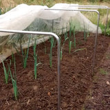 square garden hoops on vegetables with netting draped over