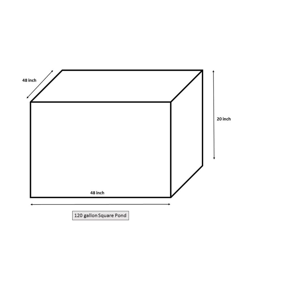 square pond dimensions on a white background