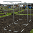 square vegetable cage on a garden bed with a background of greenery and buildings.