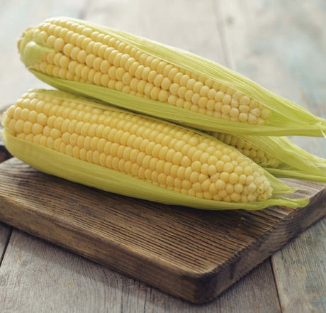 Two fresh cobs of organic sweetcorn placed on a wooden cutting board.