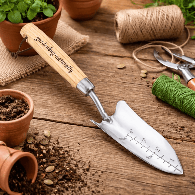 Stainless steel transplanting trowel with wooden handle and depth markings on a potting table for planting seedlings and young plants