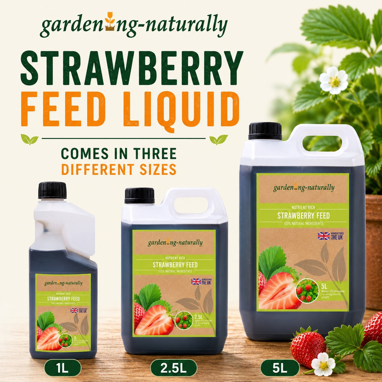 Strawberry feed liquid packaging with different sizes on a gardening-themed background