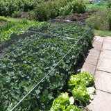 strawberry cage with bird netting on allotment