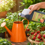 Person pouring liquid from a bottle into an orange watering can with plants and strawberries in the background.