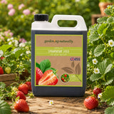 Strawberry feed container with strawberries and garden background