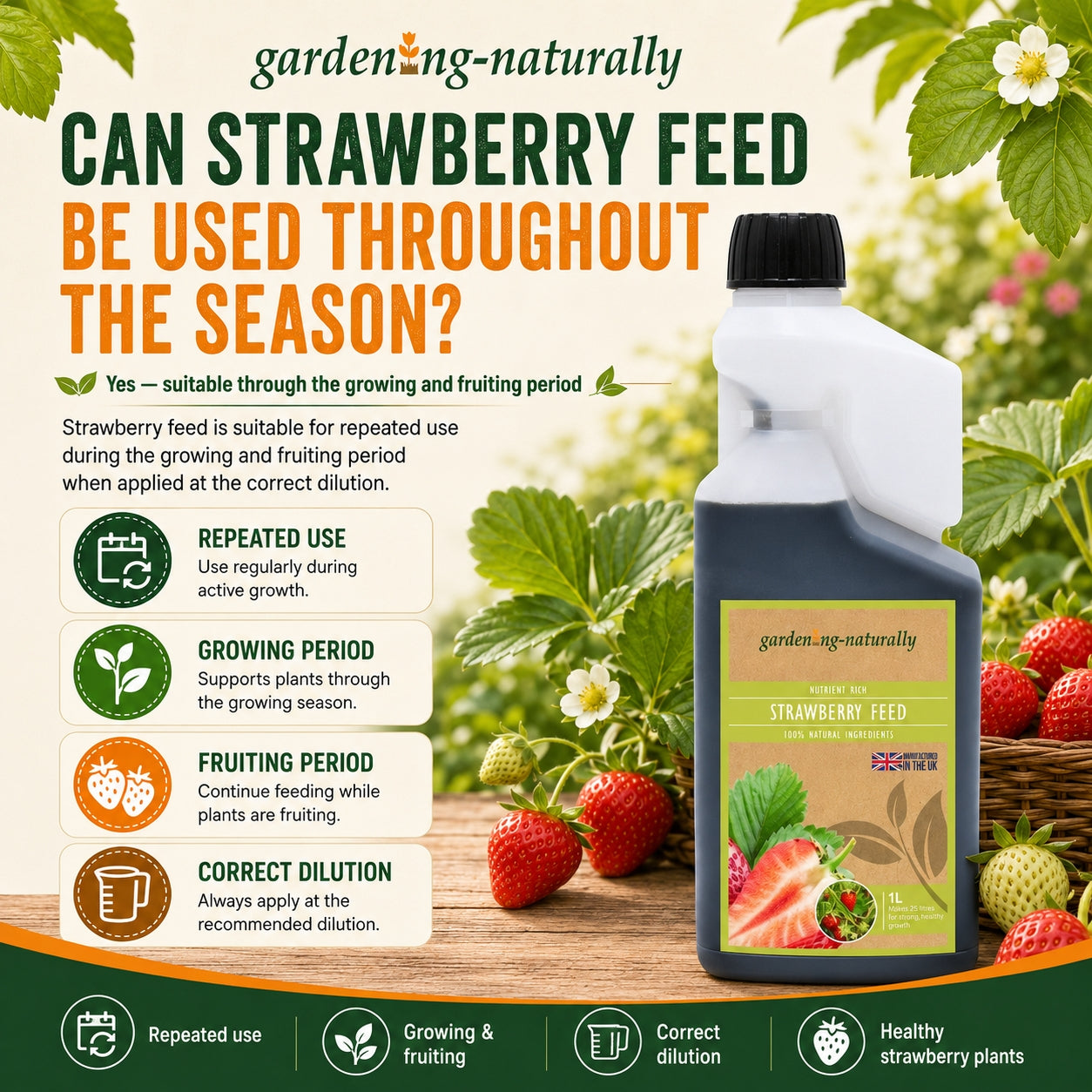 feed for strawberry plants in pots Strawberry Feed