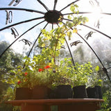 Sun Bubble Greenhouse Geometric Plastic Dome