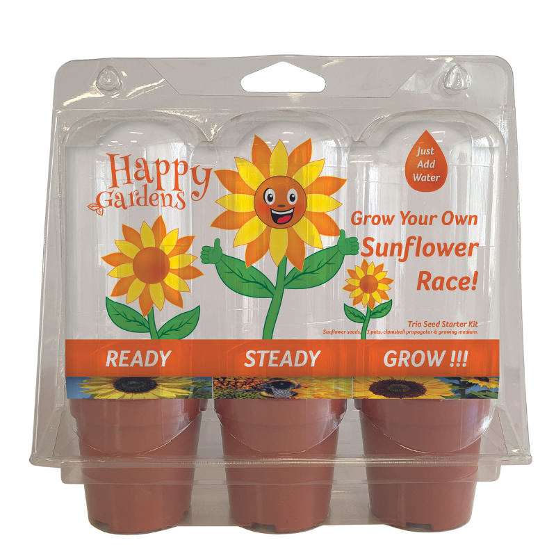 Sunflower Growing Race Set