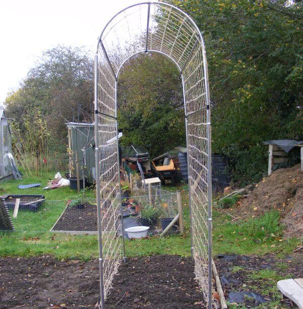 Pea and Bean Domed Frame