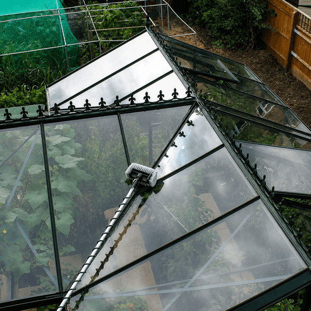 Glass roof of a greenhouse with plants inside