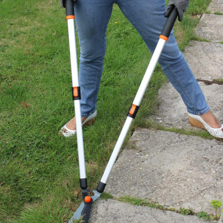 Telescopic Lawn Edgers On Garden 