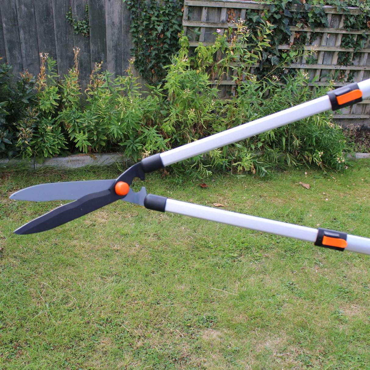 Telescopic grass pruner on grass with plants and wooden fence in the background