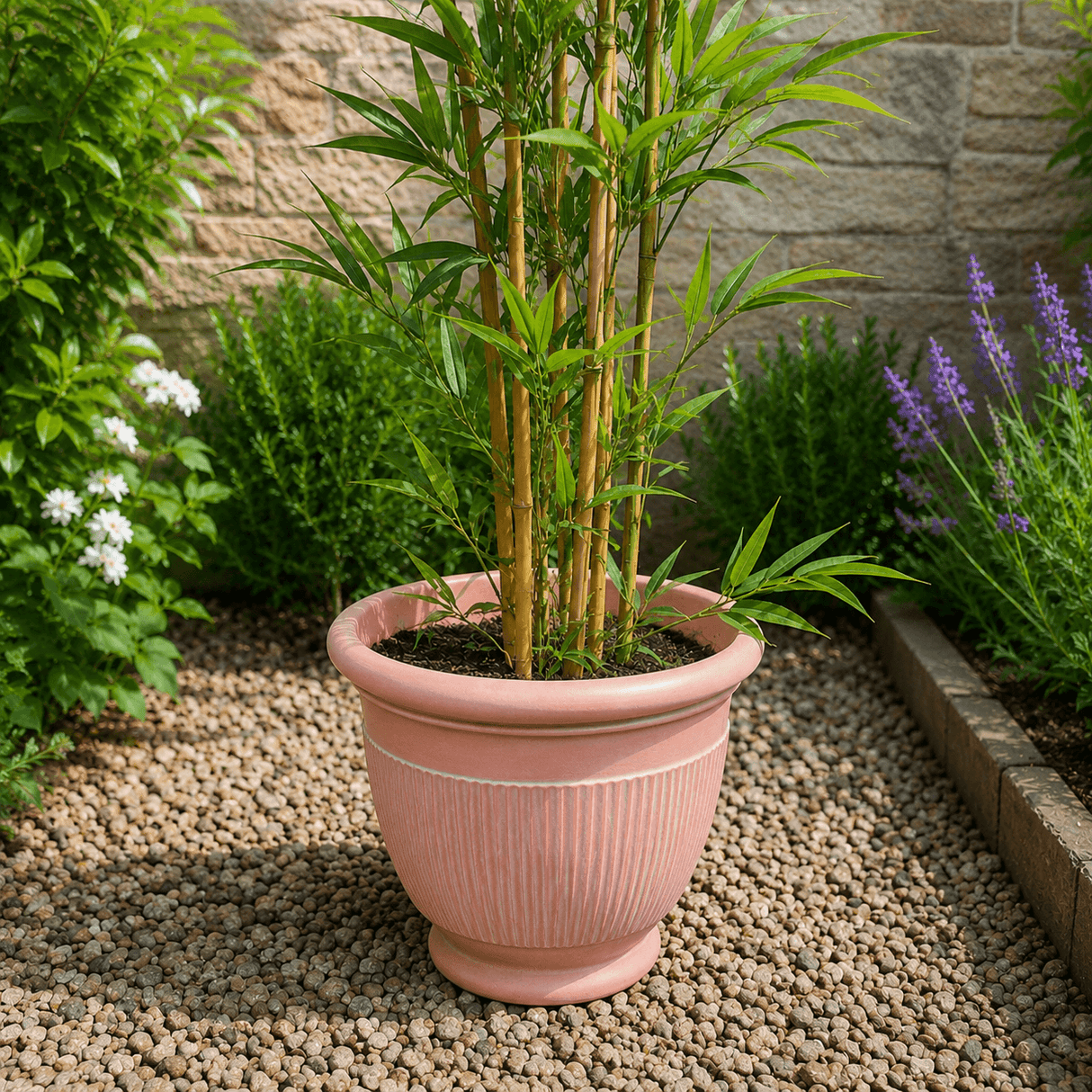 Potted plant in a garden setting with a stone wall and flowers in the background