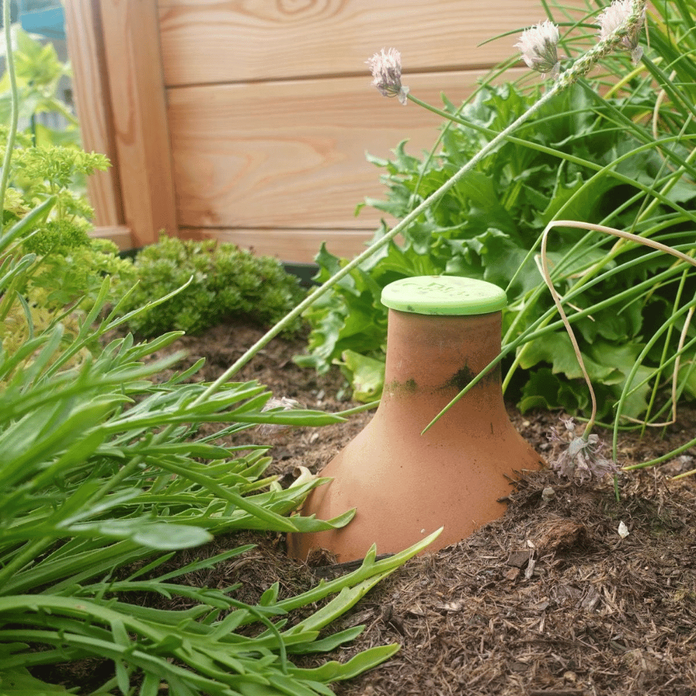 lid on the watering clay pot