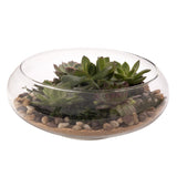 Terrarium Kit Bowl and Fillers