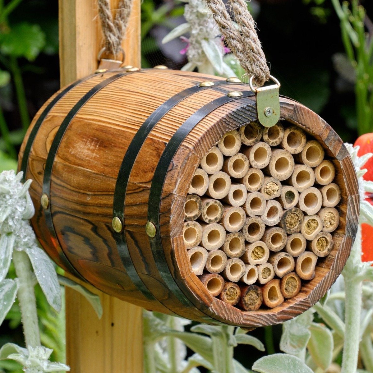 Bee Barrel