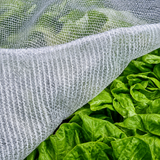 corner of thermacrop netting on vegetables