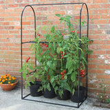 Tomato Crop Booster Frame Or Cover