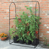 A black metal tomato support frame standing against a brick wall with several pots of tomatoes growing in it.