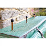 tomato grozone for plant protection