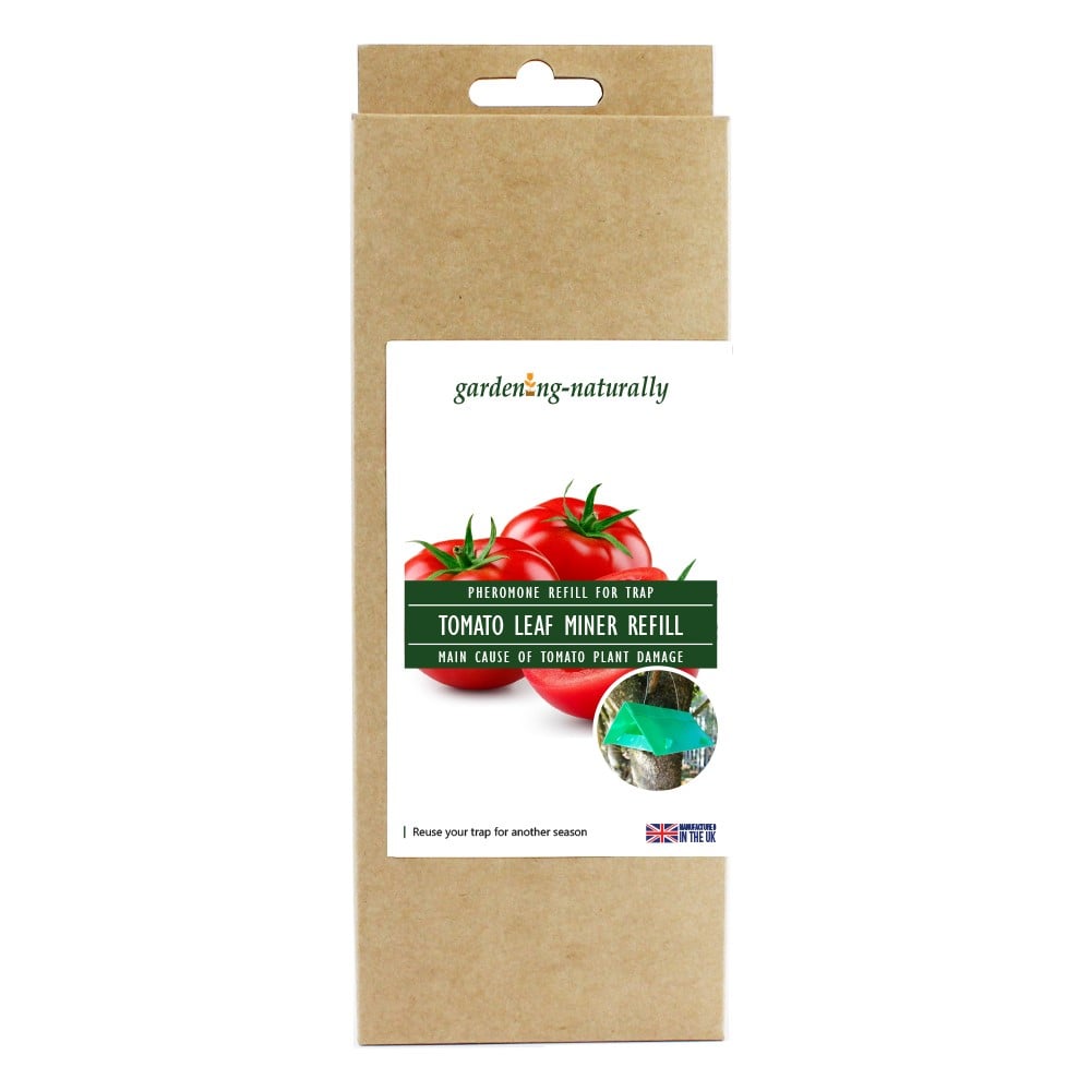 A green, triangular-shaped tomato leaf miner trap refill in Gardening Naturally packaging.