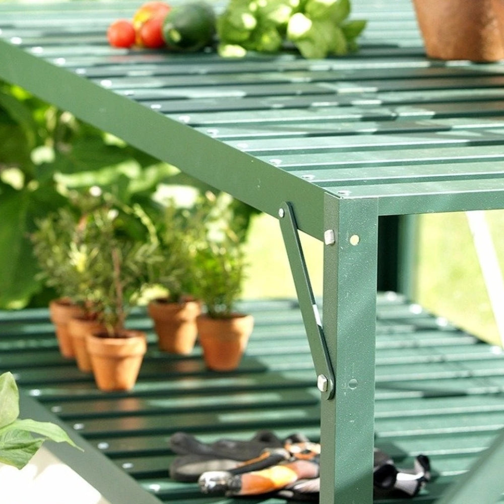 green-greenhouse-staging