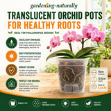 Translucent orchid pot with pink orchids on a wooden surface, featuring product details and benefits.