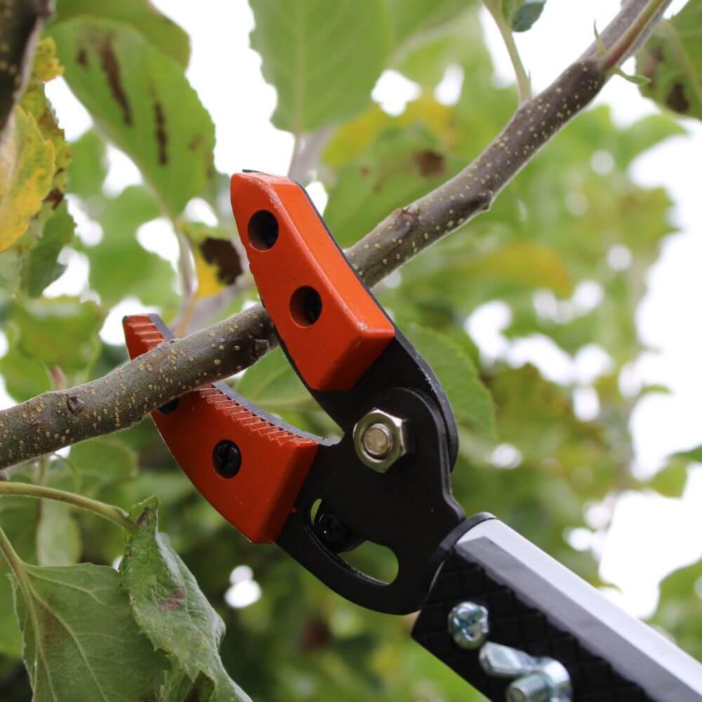 tree pruner long reach cutting branches