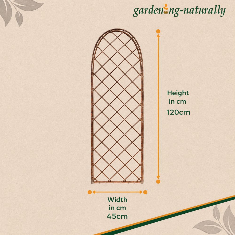 Garden trellis with dimensions on a beige background