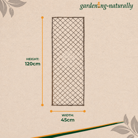 Garden trellis with dimensions on a beige background, featuring the brand 'gardening-naturally'.