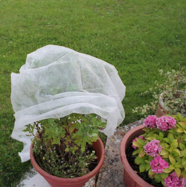 frost protection for potted plants Garden Fleece Tube for DIY Fleece Bags 0.75m x 10m – Gardening Naturally