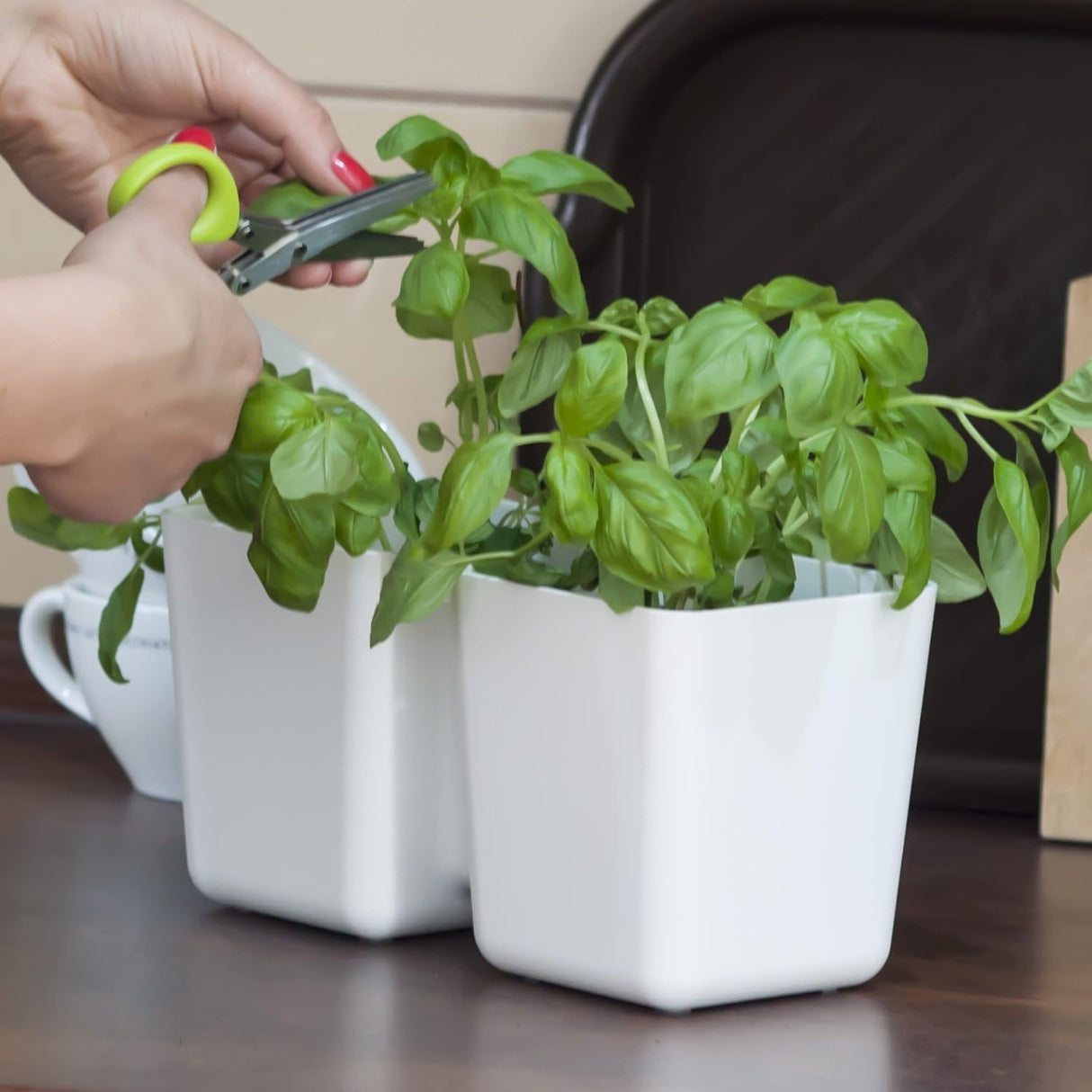 Herb Pots with Scissors