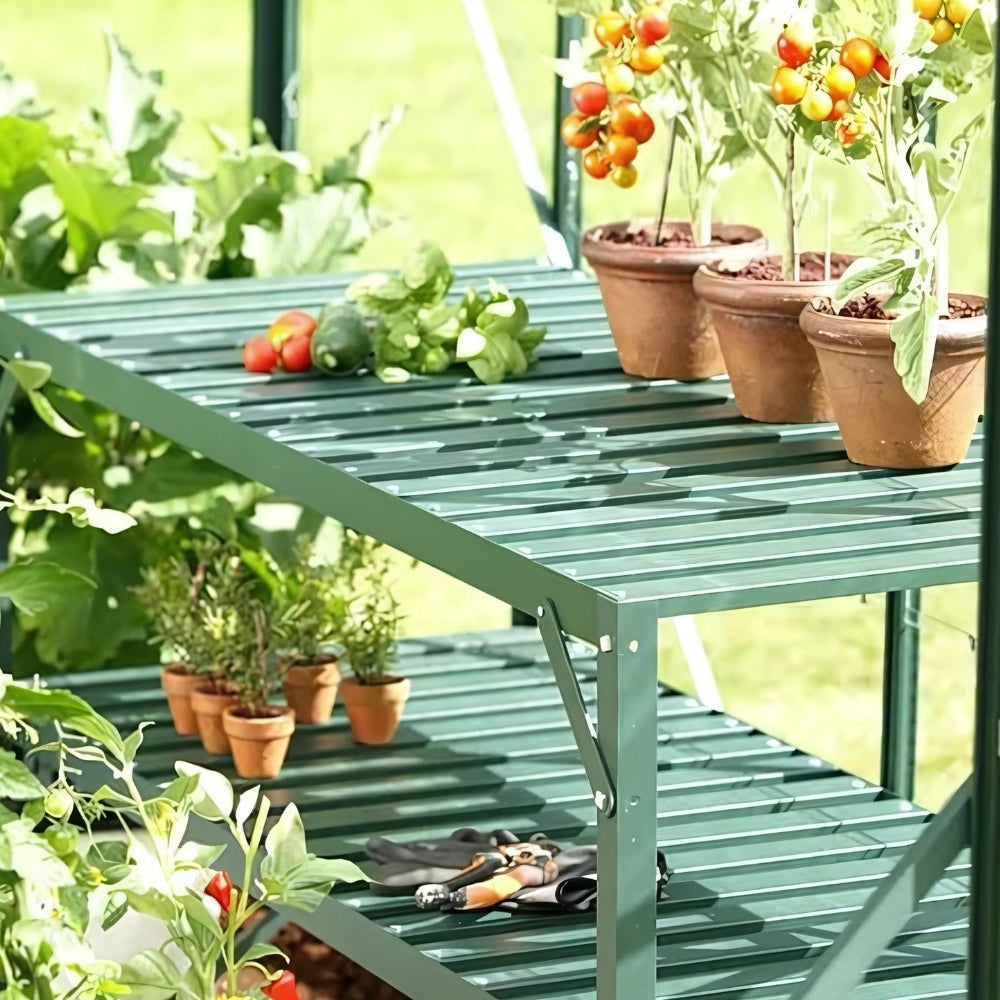 two-tier-greenhouse-staging-with-vegetables