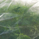 Close up veggiemesh ultra-fine with carrots