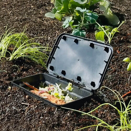 Black compost bin in soil