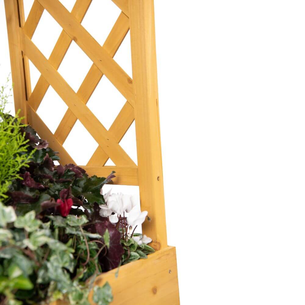 Wooden garden arch in white background