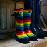 Wellies in Garden Storage Cupboard