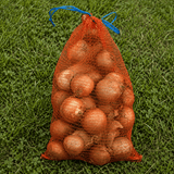 Bag of onions on a grassy background