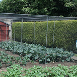 Walk in vegetable cage in a garden with vegetables growing in it