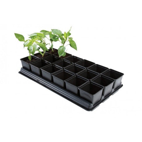 A black plastic vegetable growing tray with 18 square pots, couple of the pots has a plant growing in it.