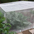 Low cage with veggiemesh insect netting, cabbages underneath in garden