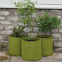 Three green fabric patio pots with plants in them, placed on a stone surface against a brick wall.