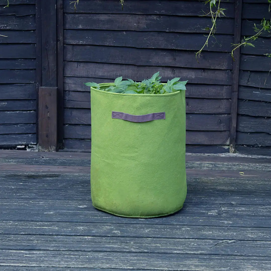 vigoroot potato and tomato planter