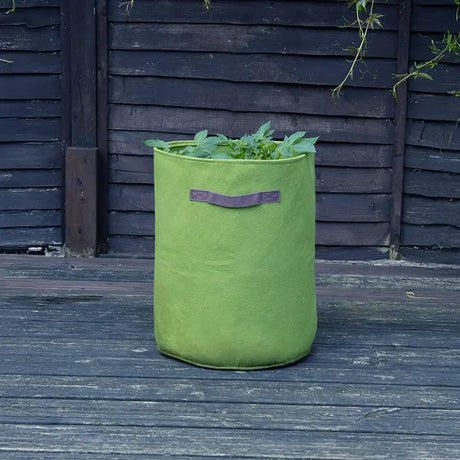 vigoroot potato and tomato planter